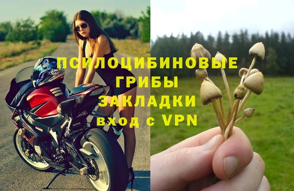 мяу мяу мука Няндома