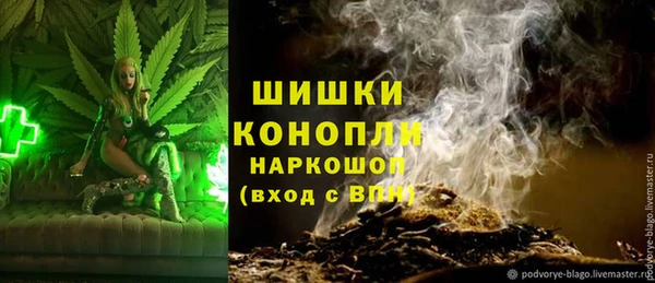 spice Аркадак