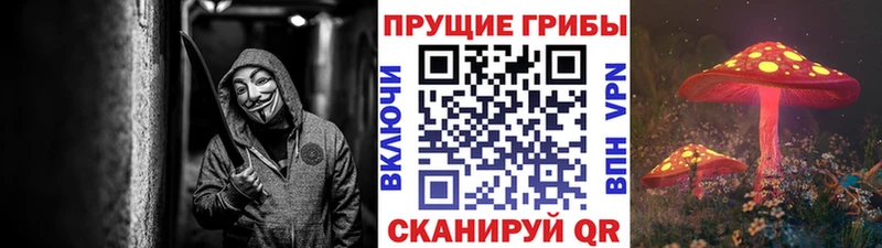 Галлюциногенные грибы Psilocybe как найти наркотики Армянск